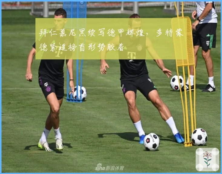 拜仁慕尼黑续写德甲辉煌，多特蒙德紧追榜首形势胶着