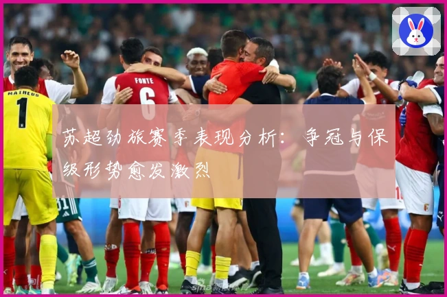 苏超劲旅赛季表现分析：争冠与保级形势愈发激烈