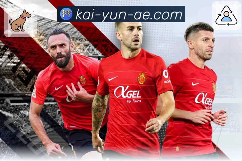 开云平台展示图